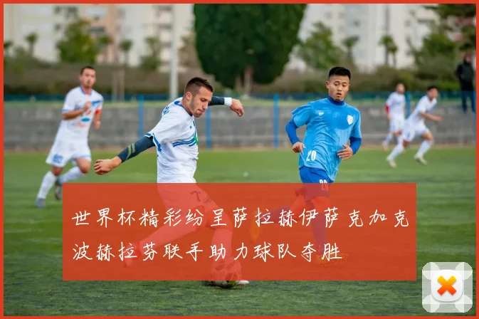 世界杯精彩纷呈萨拉赫伊萨克加克波赫拉芬联手助力球队夺胜