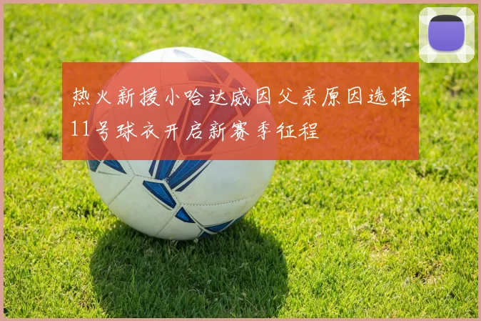 热火新援小哈达威因父亲原因选择11号球衣开启新赛季征程