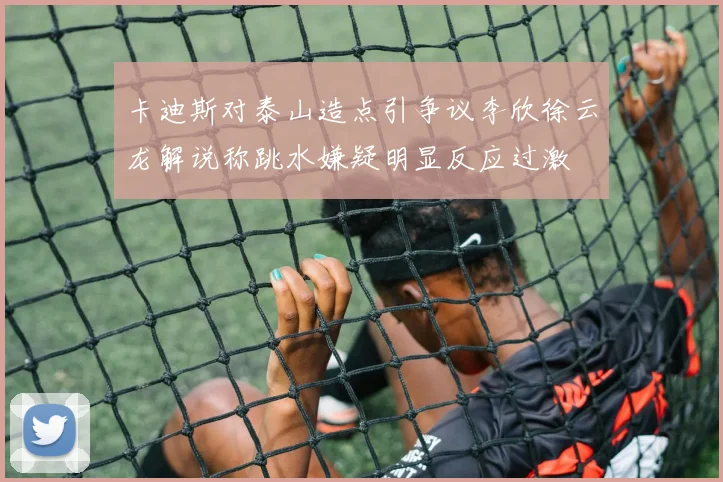卡迪斯对泰山造点引争议李欣徐云龙解说称跳水嫌疑明显反应过激