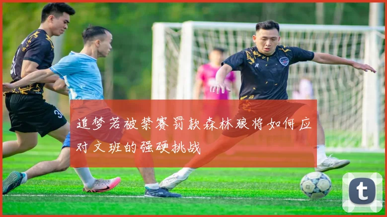 追梦若被禁赛罚款森林狼将如何应对文班的强硬挑战